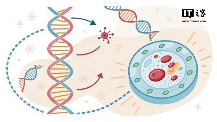 AI 可精准预测人体细胞基因表达 模型 哥伦比亚大学研究人员开发出革命性的 推动个性化医疗